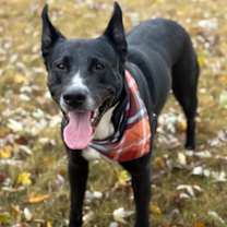 Thumbnail photo of Lilly #2