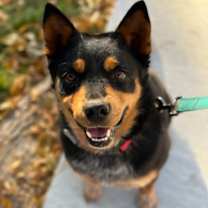 Thumbnail photo of Elly #1