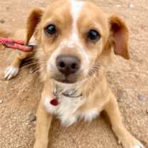 Thumbnail photo of Liam #3