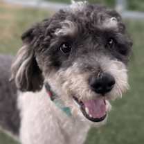 Thumbnail photo of Jack #1