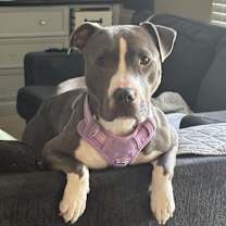 Thumbnail photo of Katniss #2