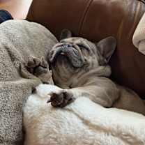 Thumbnail photo of Tank #1