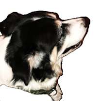 Thumbnail photo of Buddie Bear #3