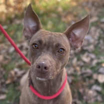 Thumbnail photo of Reba #1