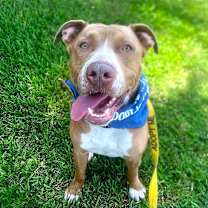 Thumbnail photo of Wiggles #1