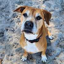 Thumbnail photo of Skipper #2