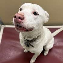 Thumbnail photo of Bear #4