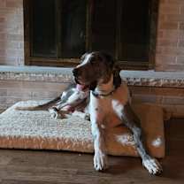 Thumbnail photo of Hades #2