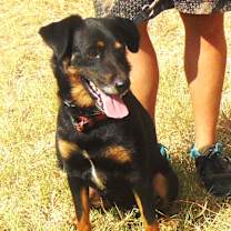 Thumbnail photo of JACK #2