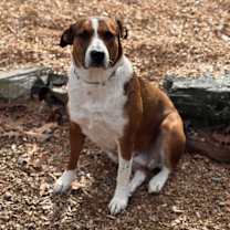 Thumbnail photo of Louise #2