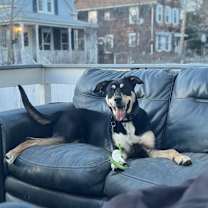 Thumbnail photo of Jaxon #3