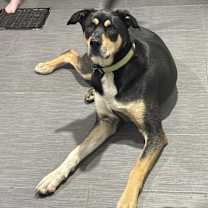 Thumbnail photo of Jaxon #4