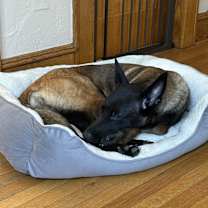 Thumbnail photo of Kiara #2