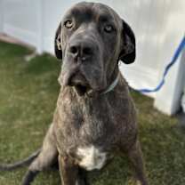 Thumbnail photo of Dean #1