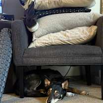 Thumbnail photo of Olive #3