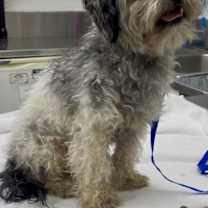 Thumbnail photo of 161619 #2