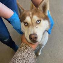 Thumbnail photo of Ellie #2