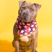 Thumbnail photo of Kratos #2