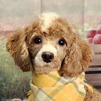 Thumbnail photo of Tucker #1