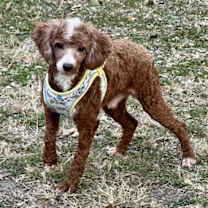 Thumbnail photo of Tucker #3