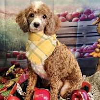 Thumbnail photo of Tucker #4