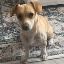 Thumbnail photo of McKenna #1