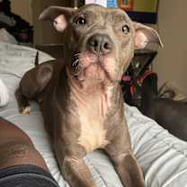 Thumbnail photo of Coco #2