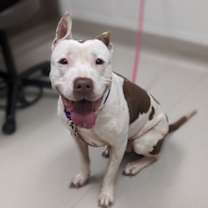 Thumbnail photo of Zoe #2