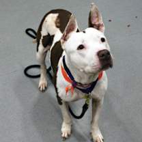 Thumbnail photo of Zoe #3