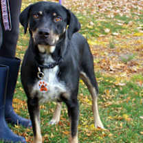 Thumbnail photo of Jazzy #1