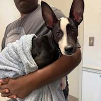 Thumbnail photo of Polly Pocket #3