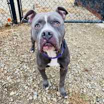 Thumbnail photo of Reebok #1