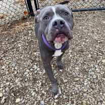 Thumbnail photo of Reebok #2