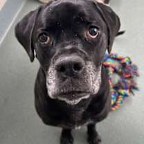 Thumbnail photo of Bella Swan #1