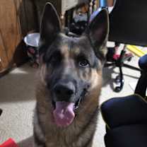 Thumbnail photo of Jax #3