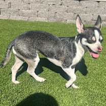 Thumbnail photo of Manana #2