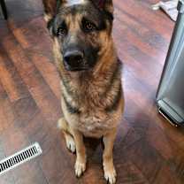 Thumbnail photo of Jax #4