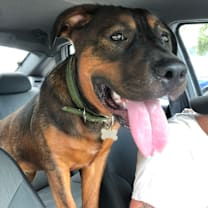 Thumbnail photo of Dorito #4