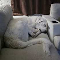 Thumbnail photo of Atlas #2