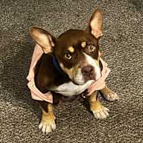 Thumbnail photo of Moca #3