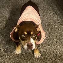 Thumbnail photo of Moca #4