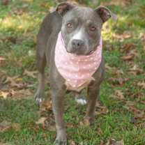 Thumbnail photo of SKYE #2