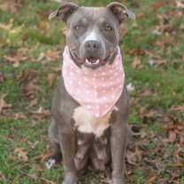 Thumbnail photo of SKYE #3