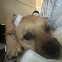 Thumbnail photo of Nizzy #2