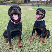 Thumbnail photo of Stone #1