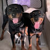 Thumbnail photo of Stone #4