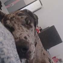 Thumbnail photo of Jax #3