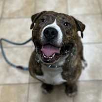 Thumbnail photo of Kermit (mcas) #3