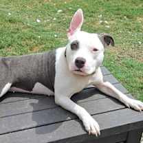 Thumbnail photo of Bethany #2