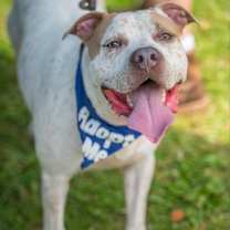 Thumbnail photo of Popeye #1